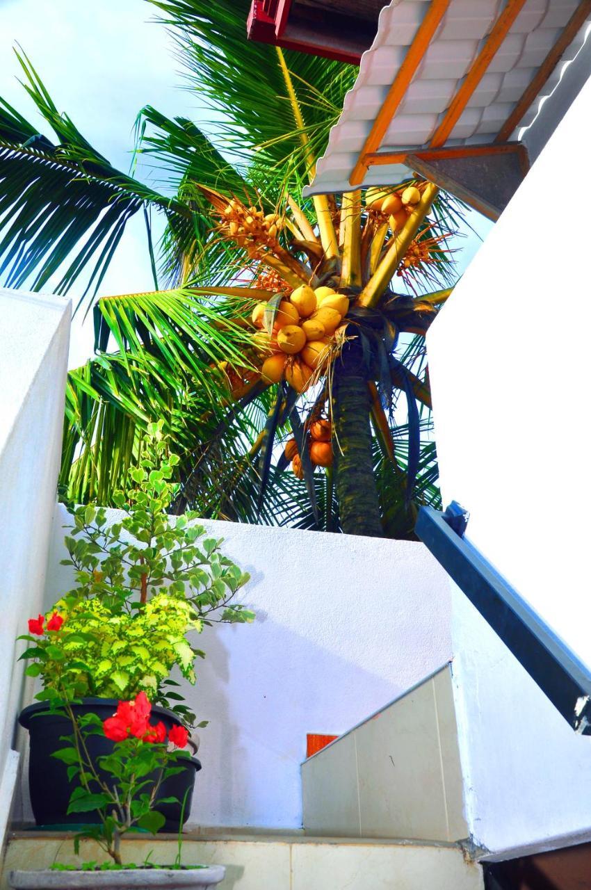 Senero House Hotell Bentota Exteriör bild